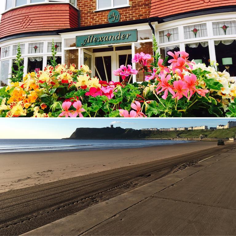 Guest house Seaside Hideaway (adults Only)